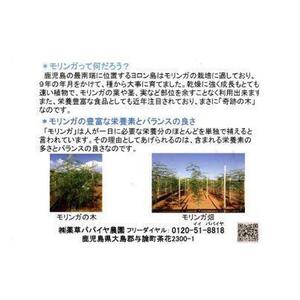与論島のモリンガセット 5種詰め合わせ
