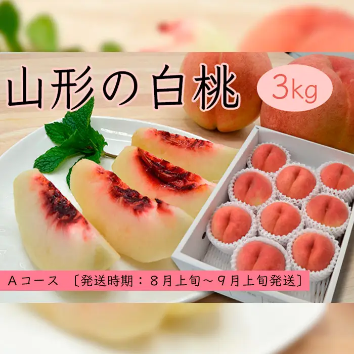 山形の白桃3kg(5～13玉)Aコース[柔らかくなる品種] 【令和8年産先行予約】FS25-631 くだもの 果物 フルーツ 山形 山形県 山形市 2026年産