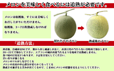 【数量限定！】北海道 富良野メロン 赤肉・青肉 計2玉セット 計2.8kg以上 メロン フルーツ 果物