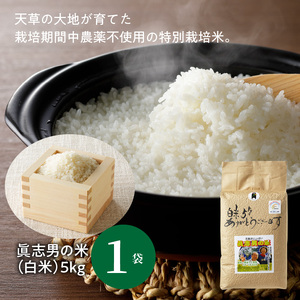 S067-018A_【令和7年産】健幸米5kgセット(コシヒカリ・玄米めんなど)