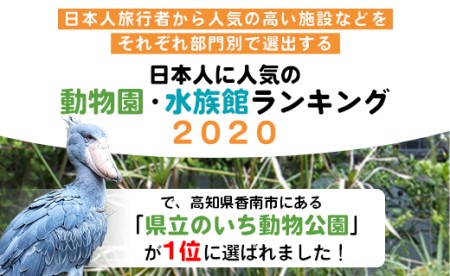 のいち動物公園 年間入園券引換券 動物園 ni-0003
