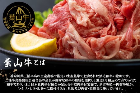 【 神奈川県産 黒毛和牛 】 三浦市 の 佐藤牧場 が育てた 葉山牛 満腹セット （ 切落し ＋ 肩ロース ） M079-009 肉 牛肉 冷凍