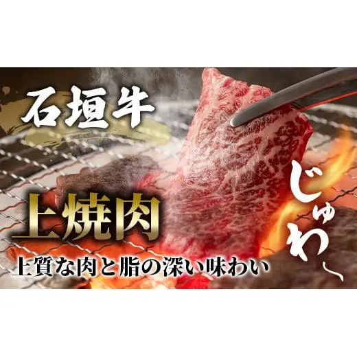 TA-3 石垣牛上焼肉350g（担たん亭）