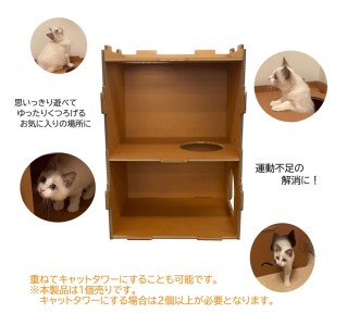 工具不要、組立簡単、軽量、エコな紙素材のキャットハウス にゃんボールハウス【四角型】【配送不可地域：北海道・九州・沖縄・離島】キャットハウス