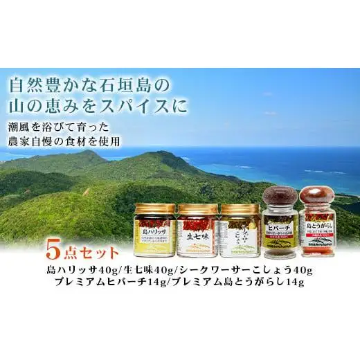 UY-1 石垣島海のもの山のものスパイス&オリジナル詰め合わせセットA