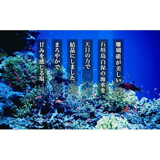 星塩120gパック　NY-1