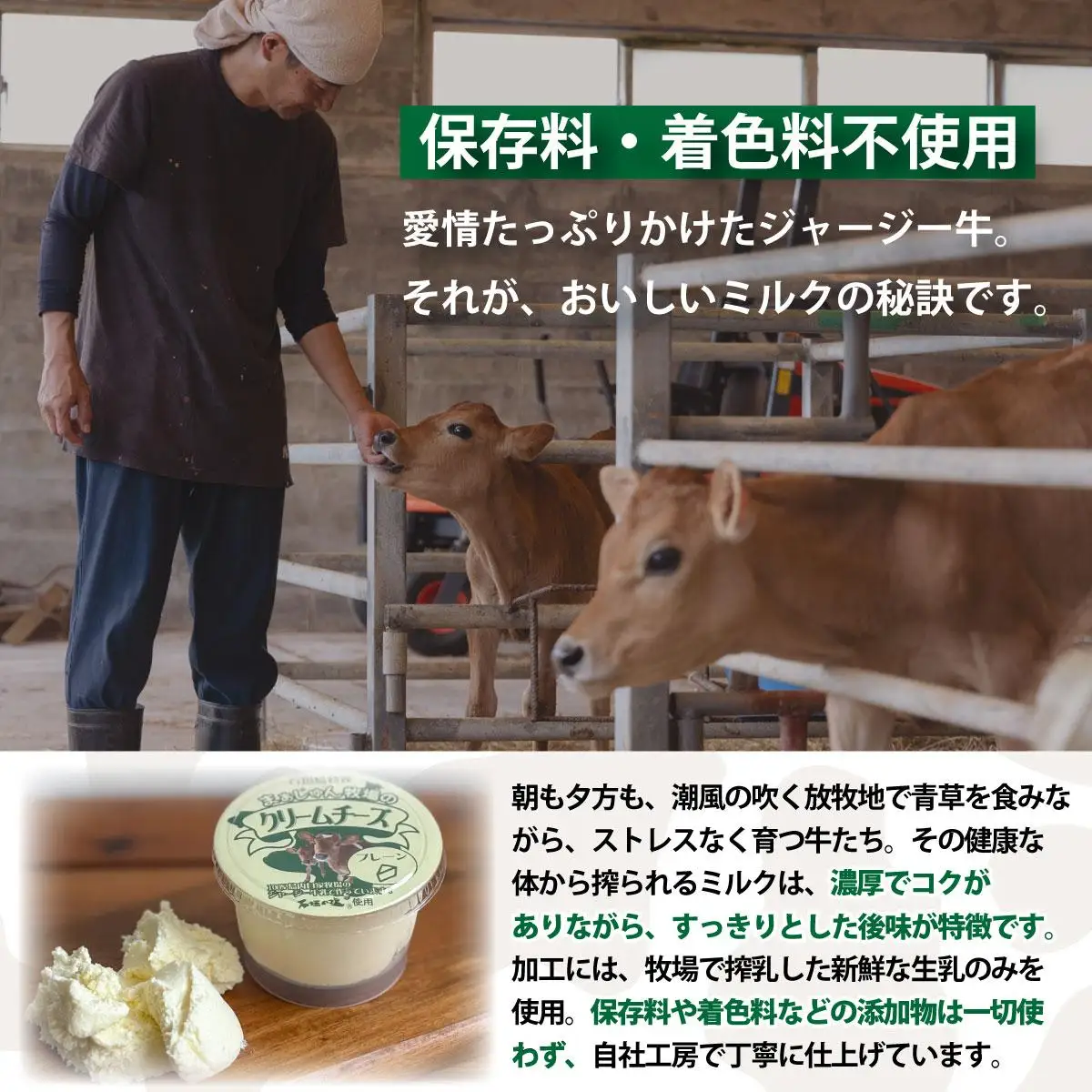F-2 まぁじゅん牧場の チーズ＆ヨーグルトセット
