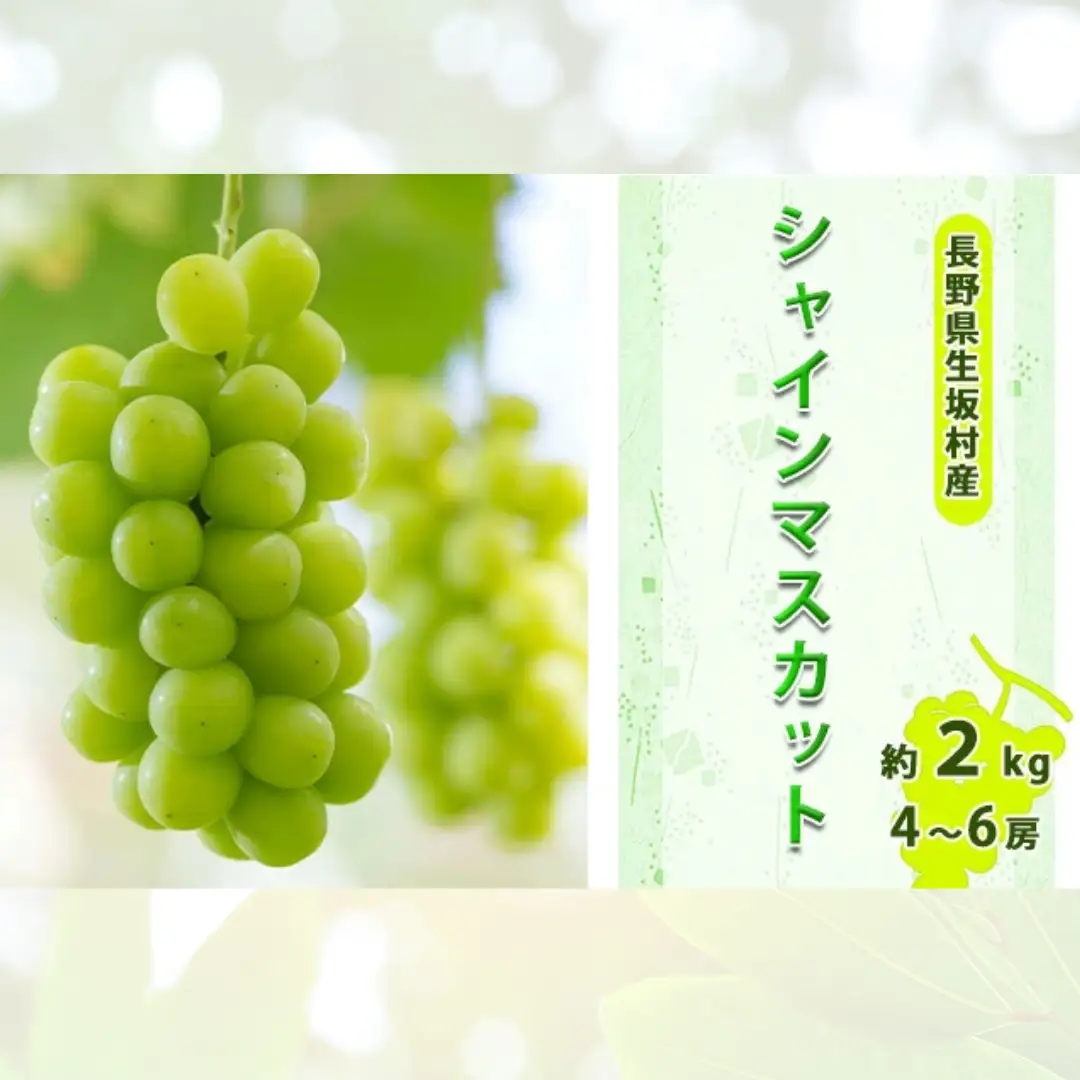 【2026年先行予約】シャインマスカット 約1.7kg~2kg (4~6房入り) 小さな果樹園 ぷてぃ・べるじぇ | シャインマスカット