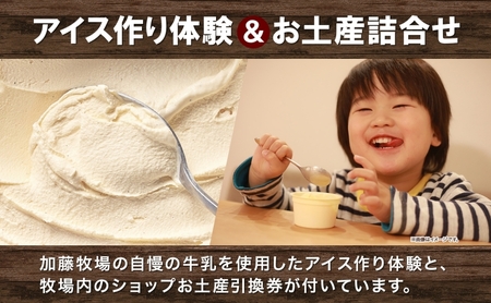 【加藤牧場】 アイス作り体験1名様分＆お土産引換券 アイス 氷 夏 暑い 猛暑 フレーバー 濃厚 さっぱり 人気 ご当地 スイーツ お菓子 食後 デザート 氷菓 牛乳 さっぱり コク 体験 お取り寄せ 加藤牧場 埼玉県 日高市