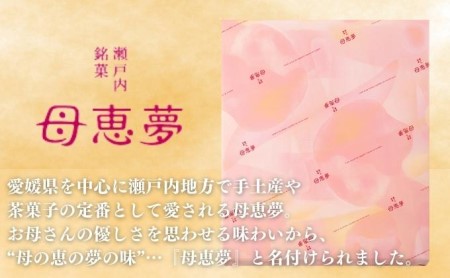 瀬戸内銘菓 ベビー母恵夢 21個入 ポエム 手土産 贈答 ギフト お菓子 スイーツ 和菓子 茶菓子 