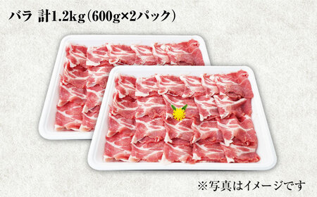 SPF 豚バラ 焼肉 計1.2kg 訳あり ＜大西海ファーム＞ [CEK031] 焼肉 豚バラ