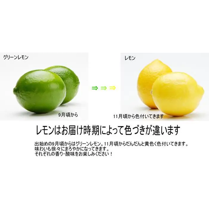  和歌山産レモン/グリーンレモン 4kg  檸檬 国産