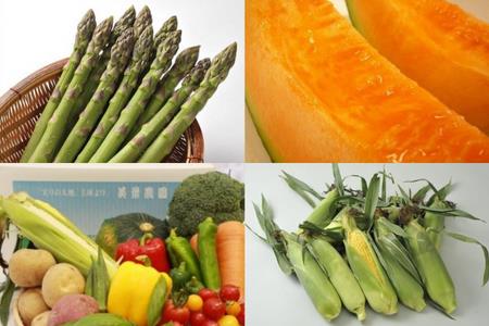 野菜 定期便 6回 ≪令和8年産予約受付≫  新鮮な野菜セット   [100-52]