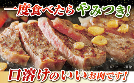 五島牛 サーロインステーキ750g（250g×3枚）五島市/肉のマルヒサ[PCV054]   A4 A5 国産牛 牛肉 ブランド牛A4 A5 国産牛 牛肉 ブランド牛 サーロイン