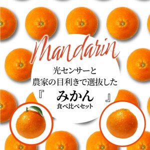 「みとよのみ」みかん食べ比べセット[2回お届け]【2024年出荷分の予約受付】