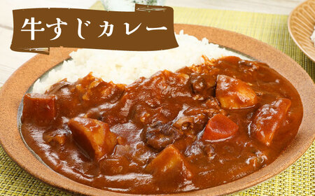 航空自衛隊 築城基地 名物 隊員食堂 カレー ( 中辛 3個 + 牛すじ 2個) レトルトカレー [ABAX002] 