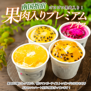 全５回 定期便 ゴロゴロ果肉入り アイス 6個入 スイーツ 定期便 マンゴーの森 IBZ040-003 定期便 定期便