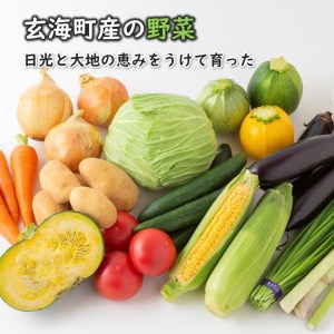 いろどり野菜セット ／ 旬 野菜 【A049】