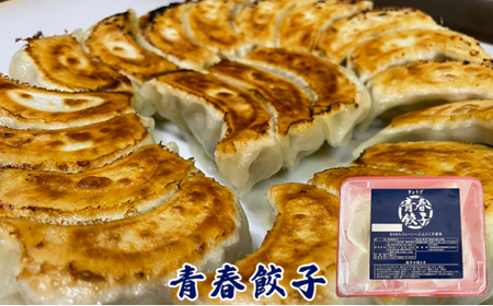 餃子専門店青春餃子 餃子食べ比べセット 3種40個