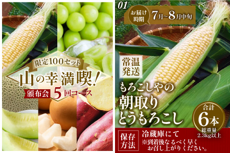 【先行予約】【定期便5回コース】山の幸満喫！限定定期便【2026年7月より発送開始予定】 [G-3204]