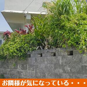 空き家見守りプレミアムプラン