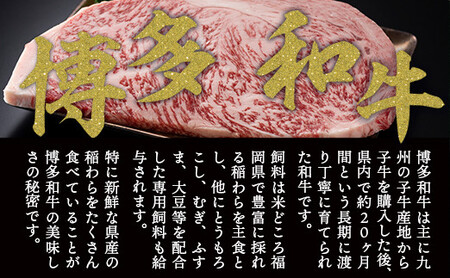 ステーキ 訳あり サーロイン 博多和牛 250g×20枚 ステーキ [um40azp010024]