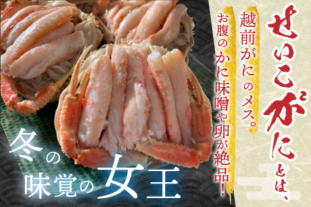 せいこがに 甲羅盛り 3杯 (1杯 60～80g) 合計200g以上 セイコガニ 蟹 [B-6210]