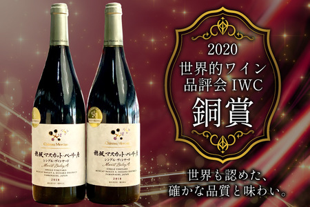 【定期便12回】赤ワイン 穂坂マスカット・ベーリーＡ シングル・ヴィンヤード 750ml 2種 アルコール度 12% [シャトー・メルシャン 勝沼ワイナリー 山梨県 韮崎市 20743314]