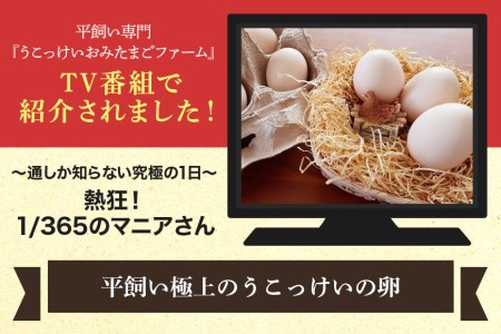 小美玉ミニカステラとうこっけい卵24個（20＋補償4個）セット カステラ かすてら 烏骨鶏 卵 うこっけい 鶏卵 高級卵 高級 国産 ギフト スイーツ 焼菓子 御贈答 お返し たまご 玉子 烏骨鶏の卵 安全 マニアさん 健康 美容 卵焼き 卵かけごはん TKG 37-N