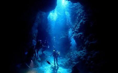 チケット 沖縄ダイビングサービス Lagoon商品券「3,000円分」【恩納村ラグーン】｜スキューバダイビング ダイビングチケット ダイビング体験 沖縄ダイビング