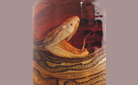 ヘリオス酒造【50年以上のロングセラーブランド】沖縄産さとうきび100％・沖縄ラム漬けハブ酒「うるま」ハブ入り40度3800ml【ハブサイズS】