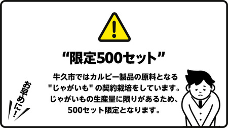 カルビー 堅あげポテト うすしお味 24袋 ( 2ケース ) 65g