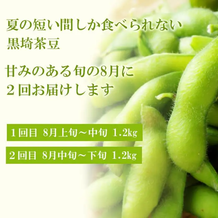 【先行予約 ２回お届け 定期便】くろさき茶豆1.2kg×２回  2026年8月発送 〈ＧＩ登録産品〉