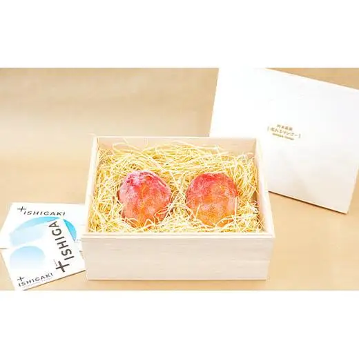 石垣の恵 眠れるマンゴー(450g～500g)2玉 専用箱入 KB-31
