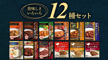 新宿 中村屋 レトルト 食べ比べ セット ( Aセット 12種 )
