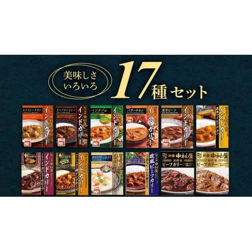 新宿 中村屋 レトルト 食べ比べ セット ( Bセット 17種 )