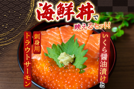 いくら醤油漬け70g×1P・刺身用トラウトサーモン(背)300～400g×1本 A-11209