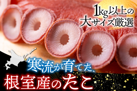 【北海道根室産】刺身用たこ足1本(1kg以上) A-14228