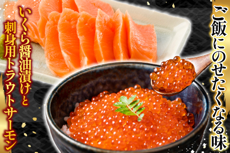 根室海鮮市場＜直送＞いくら醤油漬け70g×1P・刺身用トラウトサーモン(背)300～400g×1本 A-28211