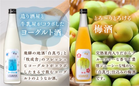 リキュール ヨーグルト酒&梅酒 白真弓 蒲酒造 リキュール  [Q1623xpi]