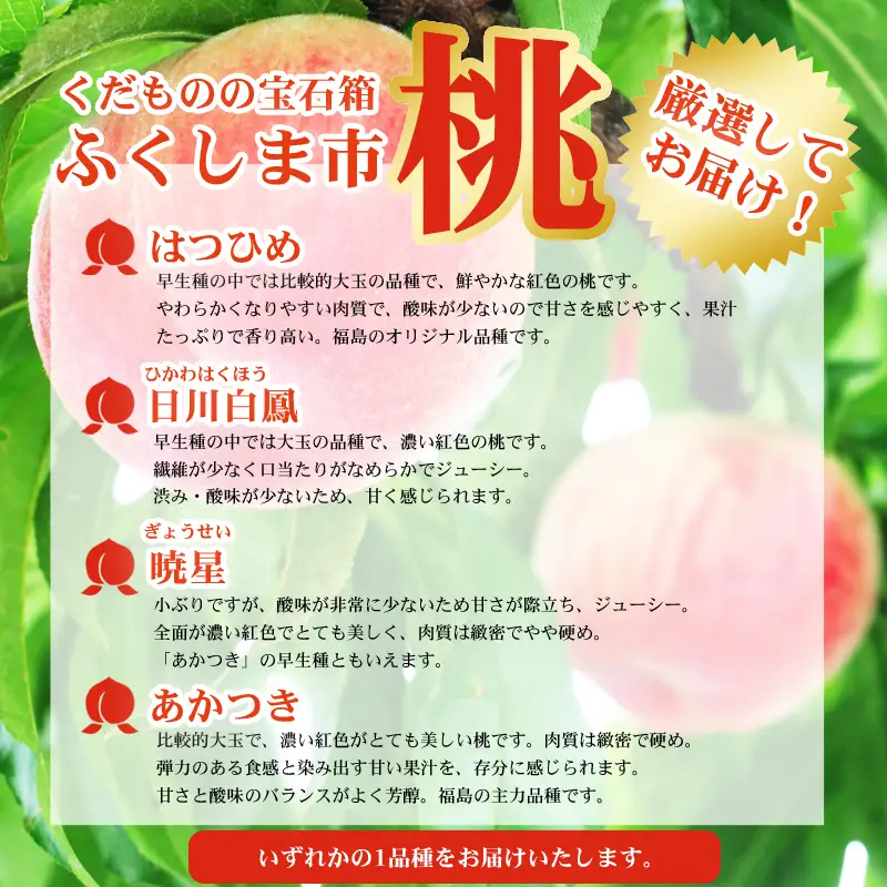 No.2422　7月発送の桃 特秀品約2.3kg【2026年発送】