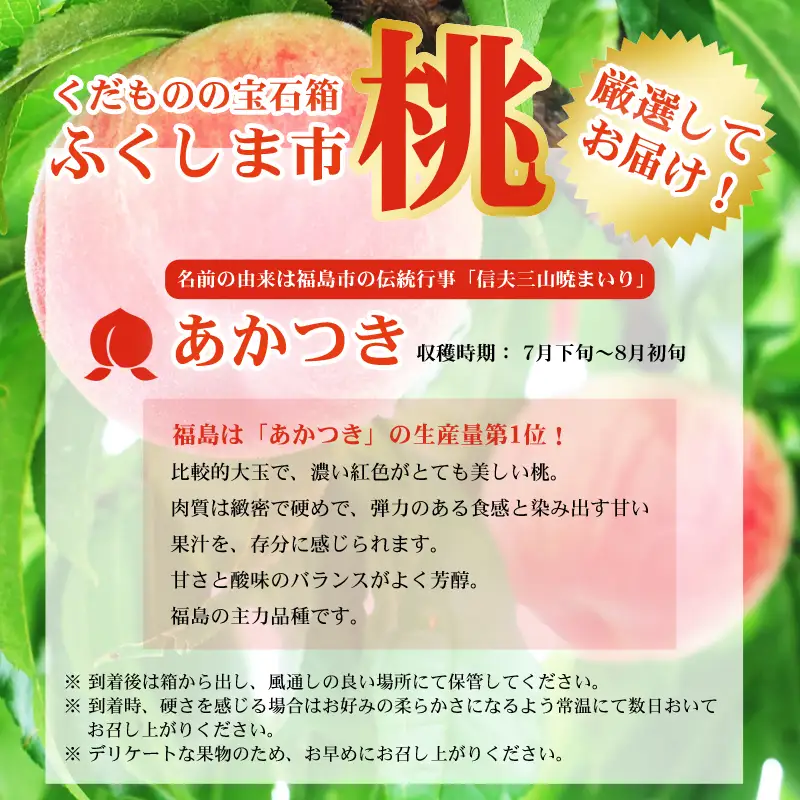 No.2434もも「あかつき」特秀品約1kg【2026年発送】