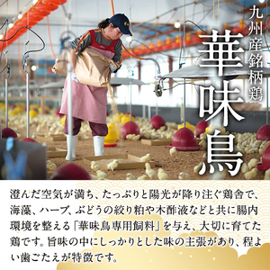 博多華味鳥 水炊き セット 3～4人前【トリゼンフーズ】博多 福岡 水たき みずたき as24-001