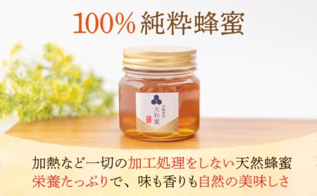 【長崎県産】大和蜜（天然はちみつ）280g×2本 長与町/蜜ロマン養蜂園 [ECE002]  百花蜜 国産 純粋蜂蜜 日本みつばち  大和蜂蜜 はつみつ ハチミツ 蜂蜜 ハニー 純粋