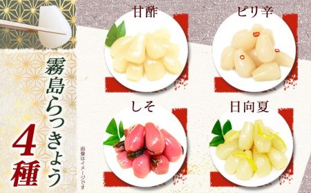 霧島らっきょう4種18袋セット_MJ-C802_(都城市) 霧島甘酢らっきょう/霧島ピリ辛らっきょう/霧島しそ風味らっきょう/霧島日向夏らっきょう ラッキョウ 辣韮 宮崎・鹿児島県産らっきょう