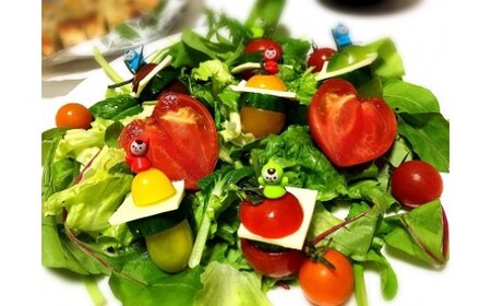 【2026年度予約分】【お試し】まるでトマトの宝石箱！フルーツジュエリートマト 約800g 長田農園 産地直送 トマト とまと 野菜 やさい フルーツ サラダ 濃厚 甘い ご褒美 プレゼント 美容 健康 リピート多数 人気 高評価 先行受付 数量限定 碧南市 H004-178