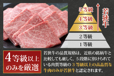 【福井のブランド牛肉】若狭牛 上カルビ 焼肉用 350g×1パック【4等級以上】
