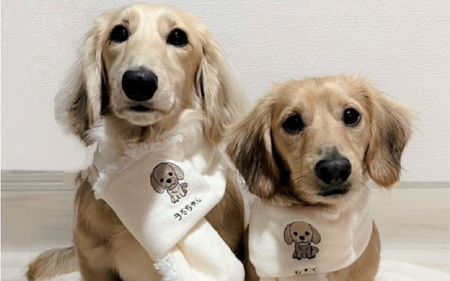 刺繍マフラー（犬の洋服）