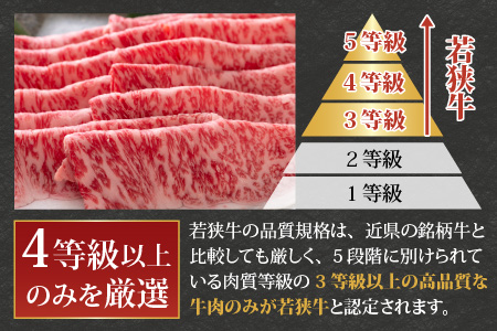 【福井のブランド牛肉】若狭牛ロースor肩ロース肉 すき焼き用 500g(250g×2パック)【4等級以上】