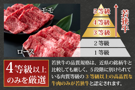 【福井のブランド牛肉】若狭牛すき焼き食べ比べセット 1kg(ロース500g×1パック・モモ500g×1パック)【4等級以上】